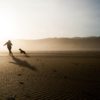 【2019年の星の流れ】~ 魂の可能性を開花させ、世界は真の姿を取り戻していく